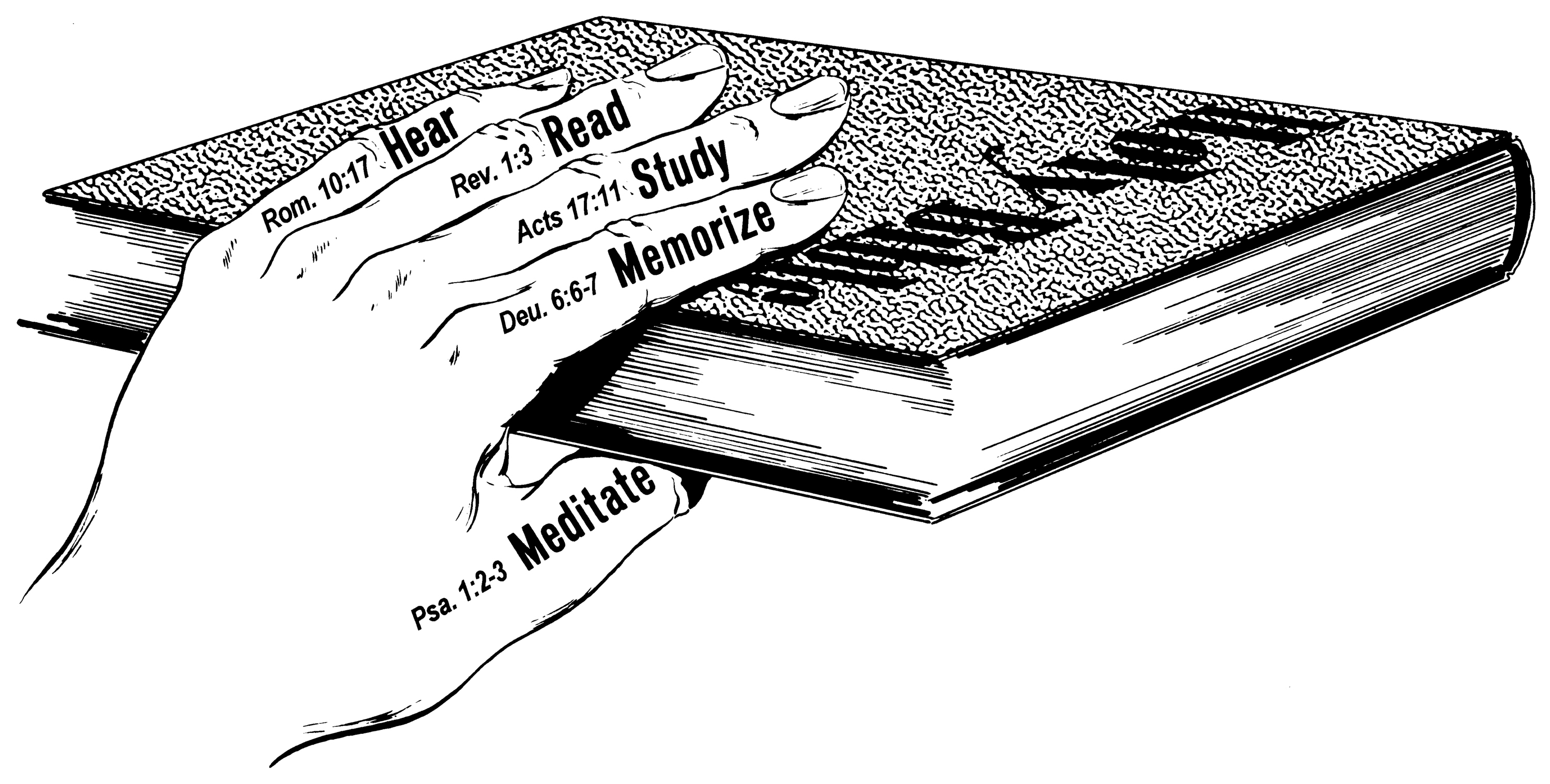 Navigator Word Hand Illustration